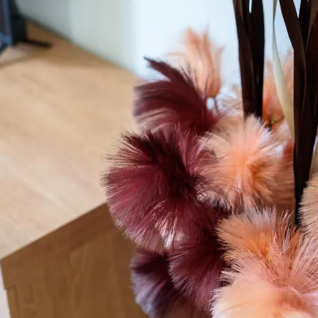 Apartament House Trinita 21 *